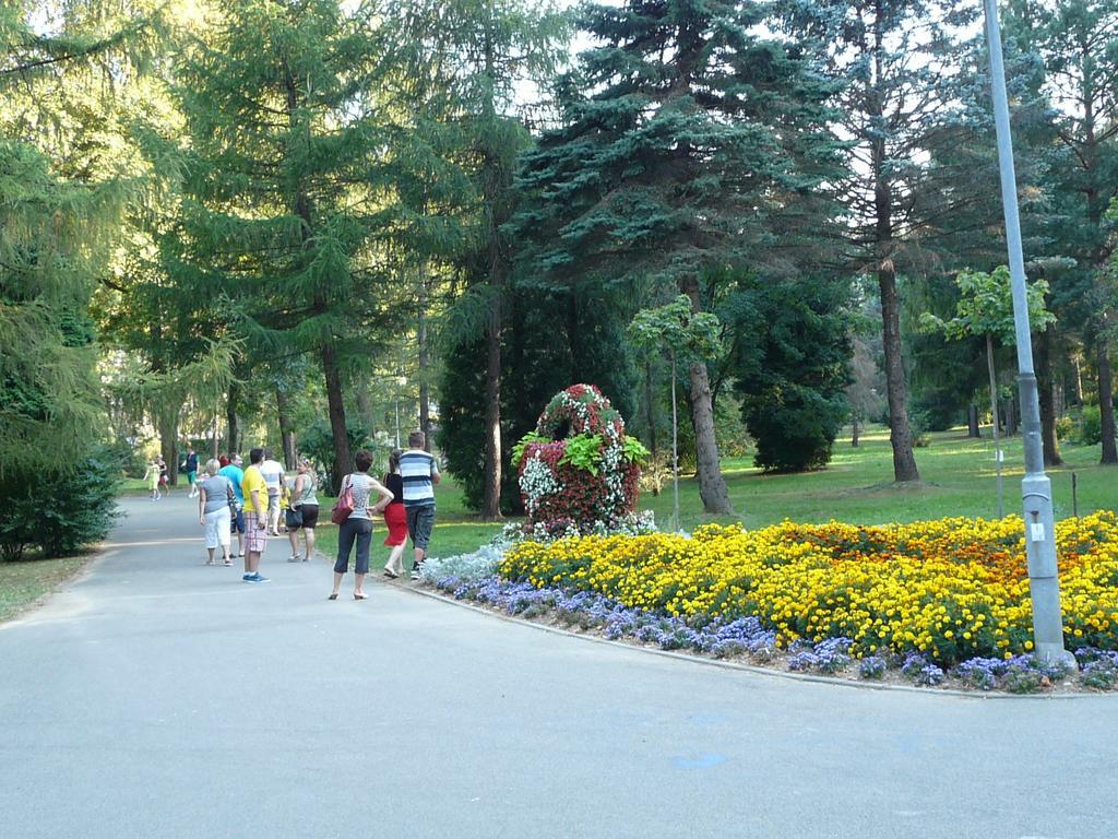 Villa Asturia Rymanow-Zdroj Ngoại thất bức ảnh